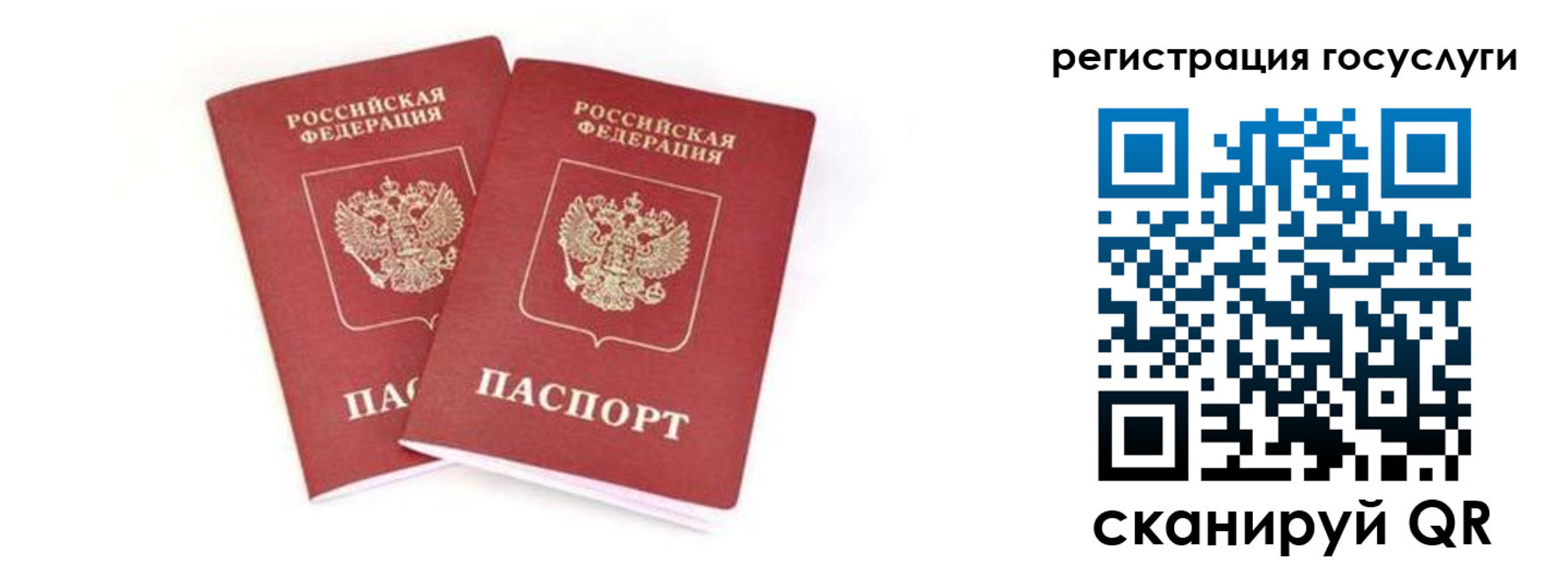 прописка в квартире в Михайловке